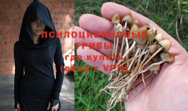 кокс Алзамай